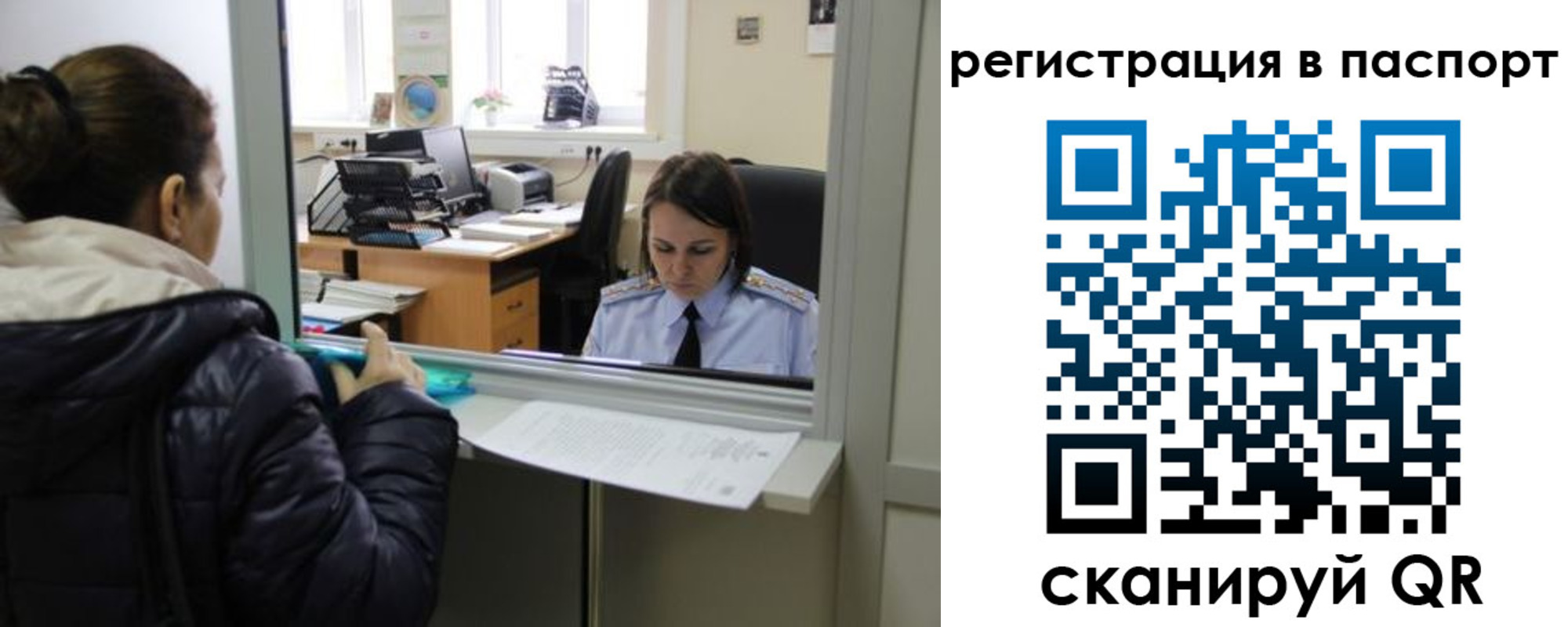 временная регистрация поиск в Белгороде